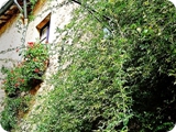 farfa (casa 2)