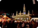 mercatino di natale a rathausplatz 3