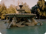 fontana dei cavalli marini