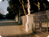 viale