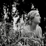Giovanni Ingrassia Fotografo d'Arte - villa borghese (roma) / villa borghese (rome)